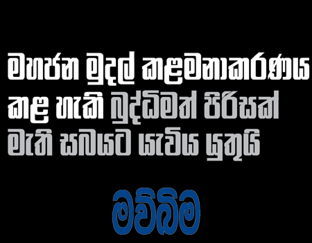 බුද්ධිමත් පිරිසක් මැතිසබයට යැවිය යුතුයි - මව්බිම 